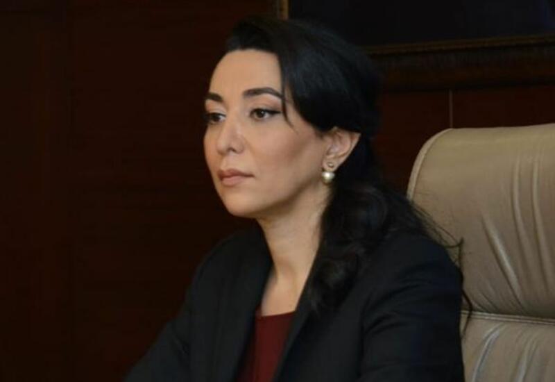 Омбудсмен Азербайджана выступила с заявлением в связи с нападением армянских радикалов на культурный центр страны в Париже