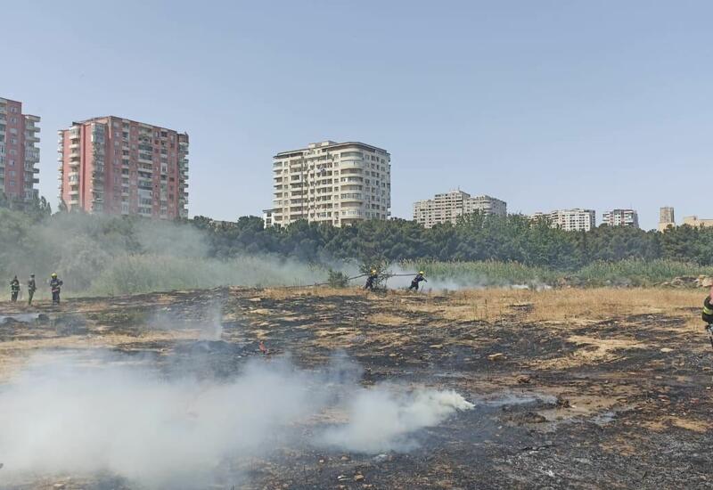 В Баку подожгли парк