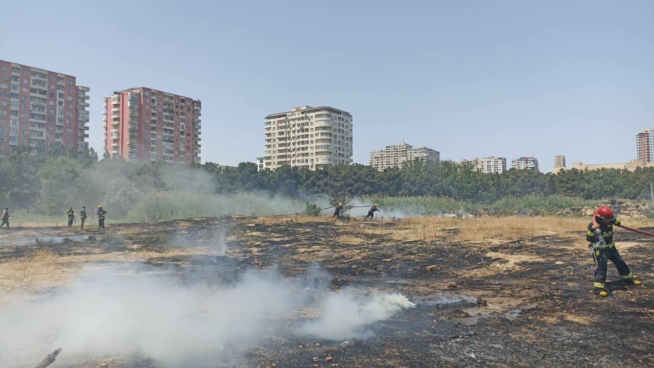 В Баку подожгли парк