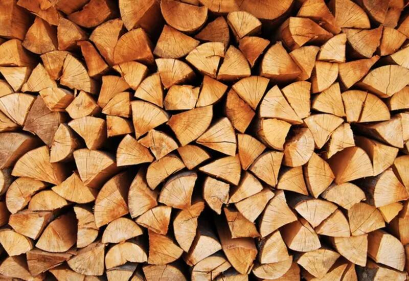 Население Молдовы обеспечат дровами