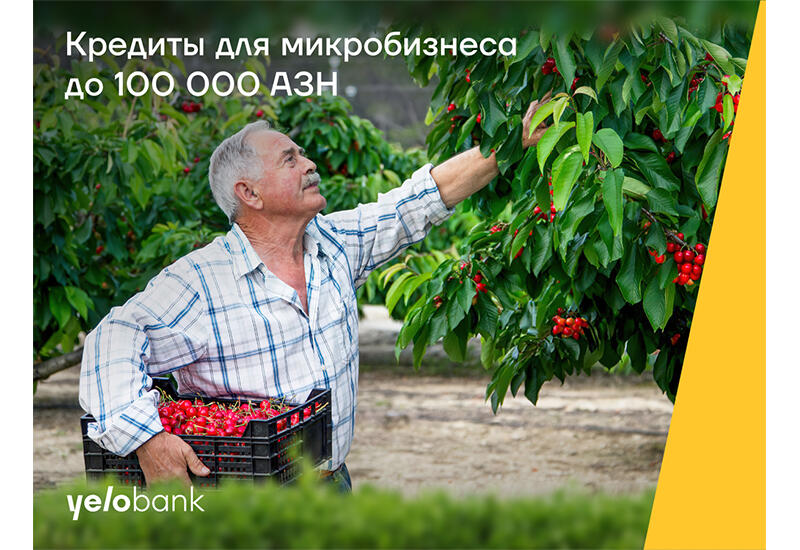 Кредит для микробизнеса до 100 000 AZN от Yelo Bank