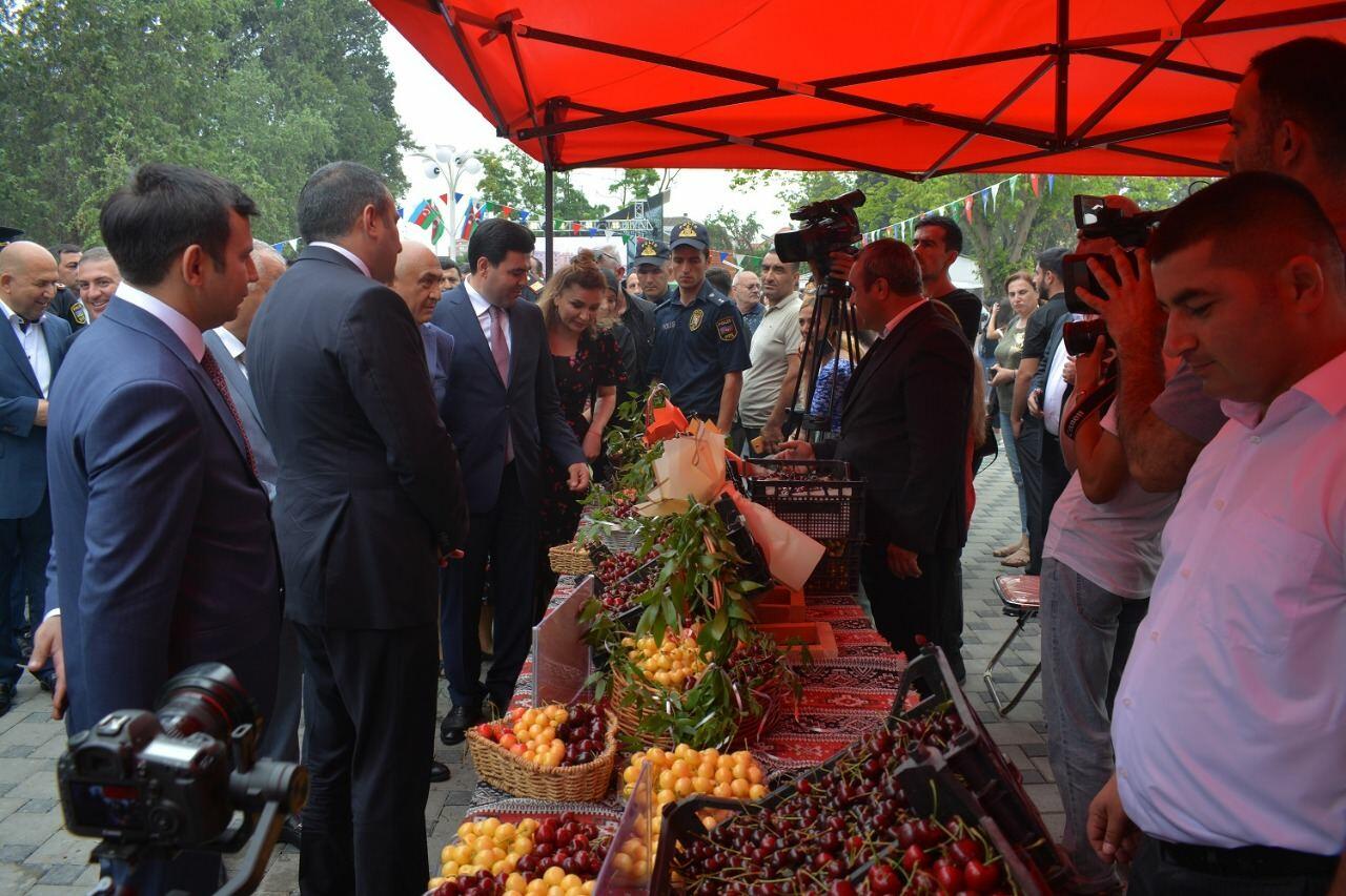 Первый Фестиваль черешни и вишни в Хачмазе
