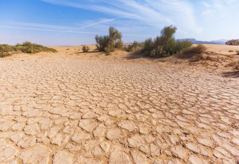 Засуха может стать новой нормой для четверти планеты
