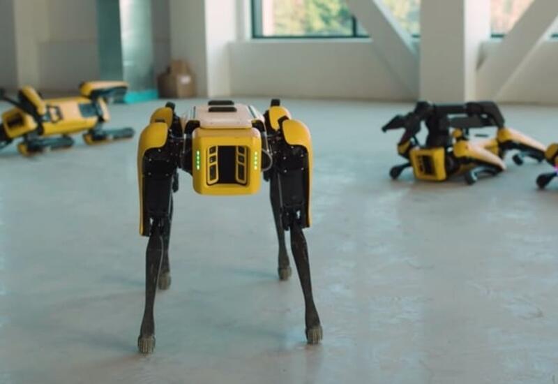 Роботы в Дубае: от доставки товаров до медицины