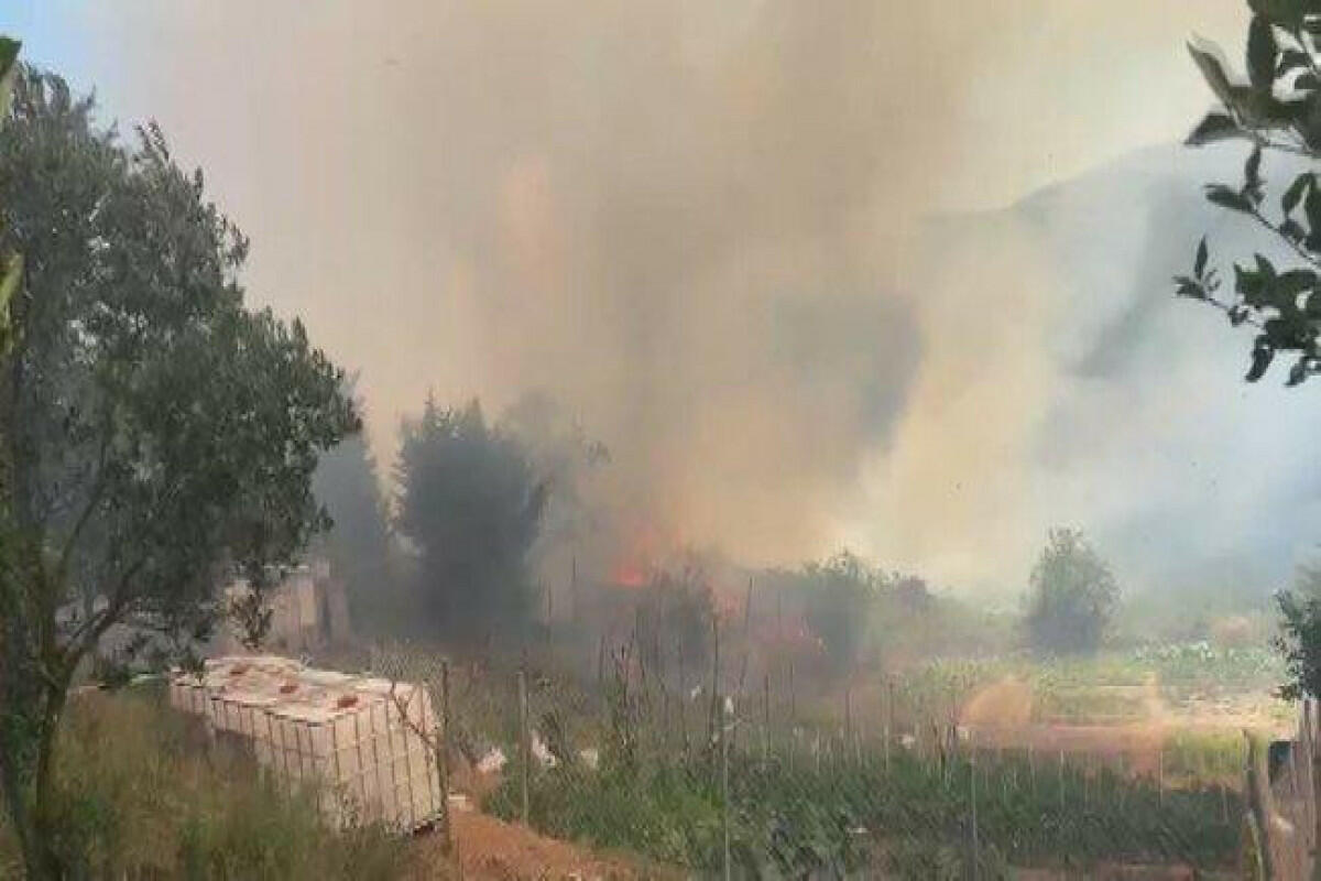 В Стамбуле вспыхнул лесной пожар