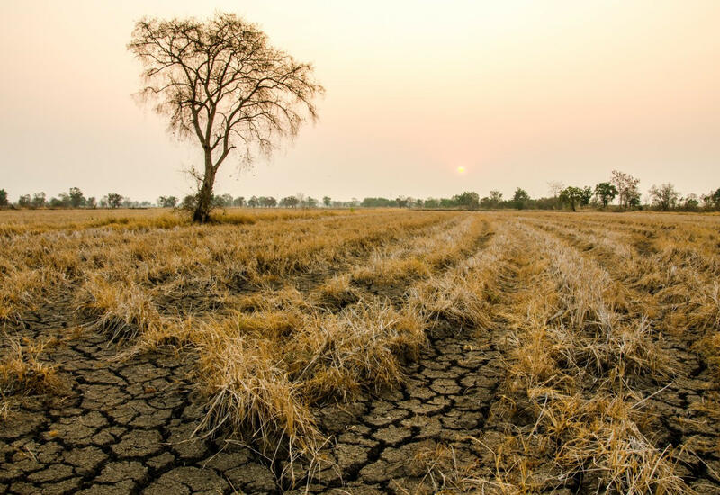 Италия ввела режим ЧС из-за засухи