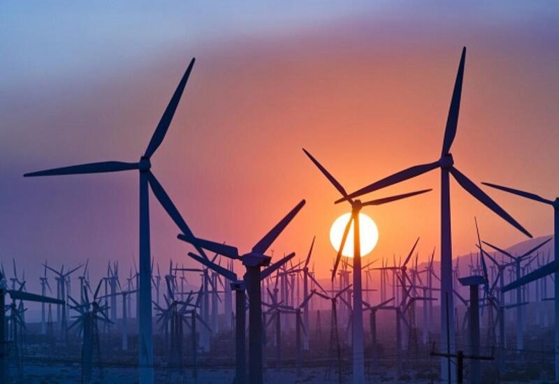 Зеленая энергетика в ФРГ обеспечила половину электропотребления в первой половине года
