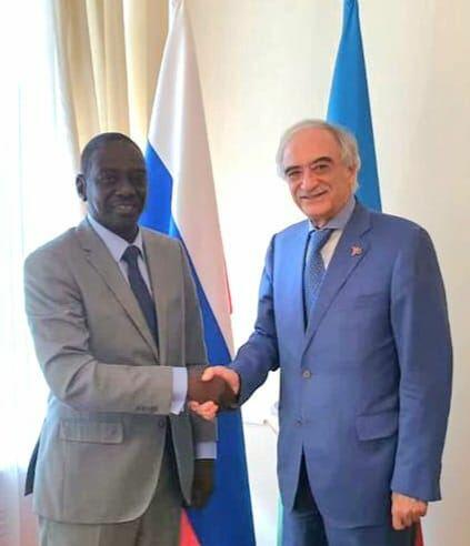 Полад Бюльбюльоглу принял новоназначенного посла Судана в России