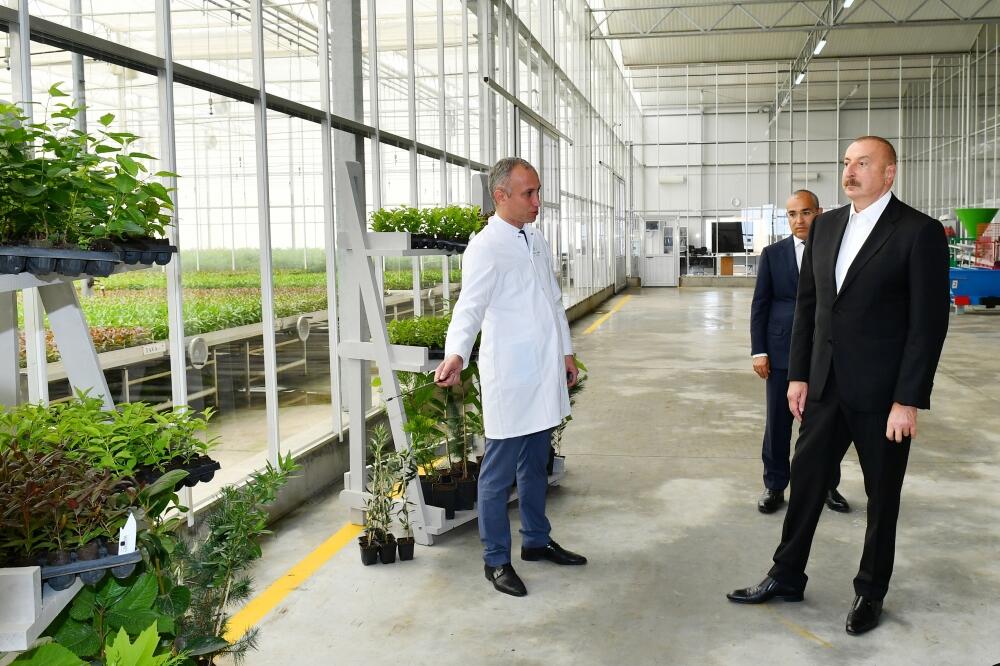 Президент Ильхам Алиев и Первая леди Мехрибан Алиева ознакомились с предприятием ООО Grand-Agro Invitro и приняли участие в открытии перерабатывающего завода ООО Azbadam