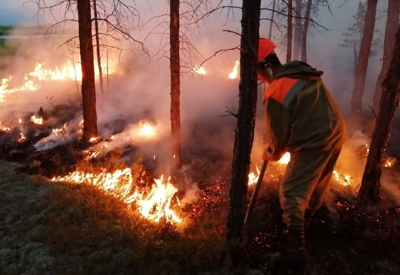 В России стало гореть больше лесов