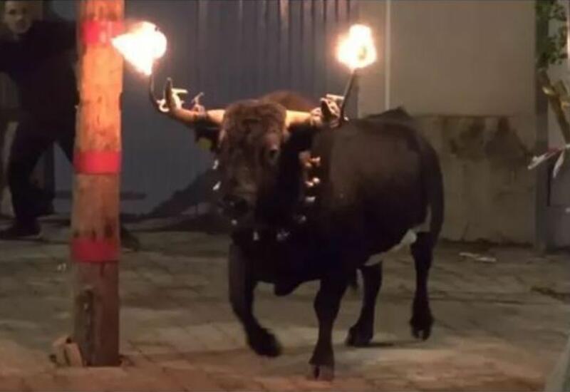 В Испании один человек погиб после забега с быками