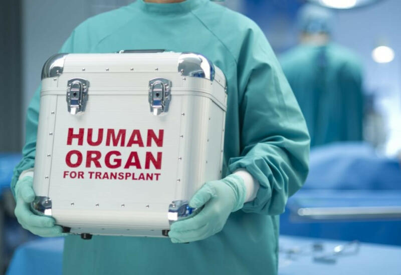 В Азербайджане названы порядок управления и направления деятельности Координационного центра по трансплантации органов
