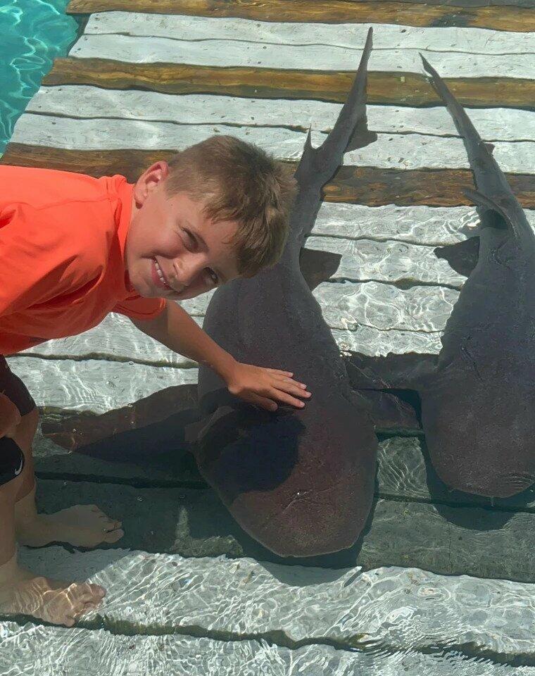 Акулы разодрали ноги восьмилетнему мальчику