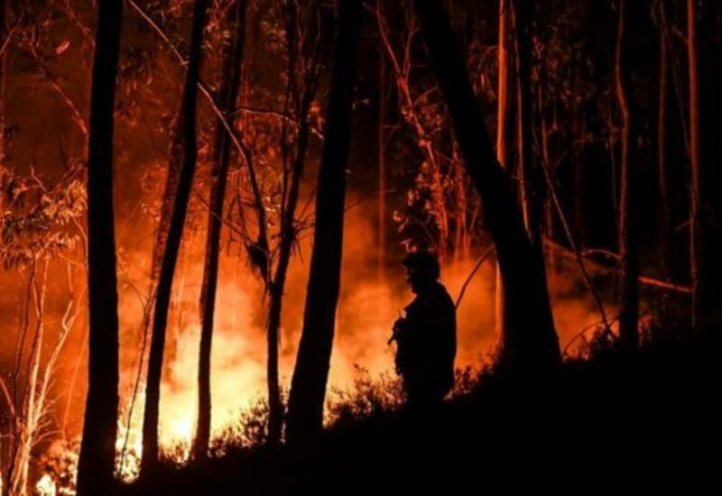 Во Франции бушуют лесные пожары