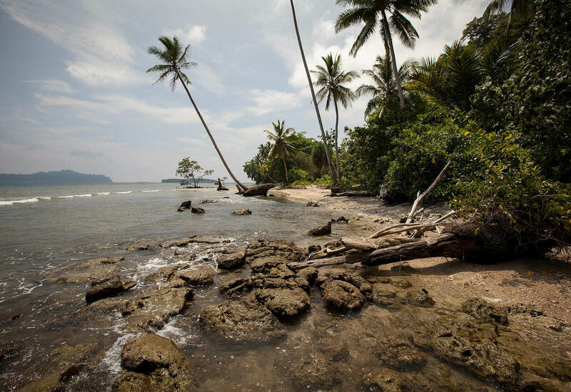 На Соломоновых островах обнаружили 13 бомб времен Второй мировой войны