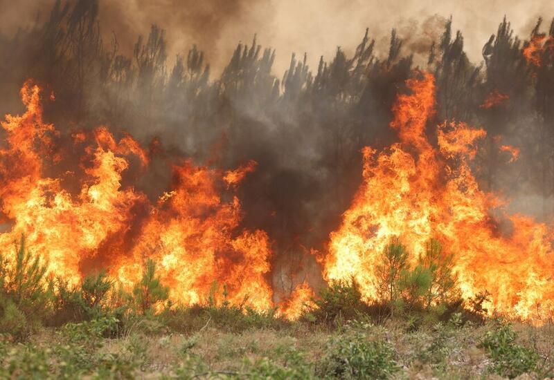 Тысячи гектаров леса сгорели во Франции