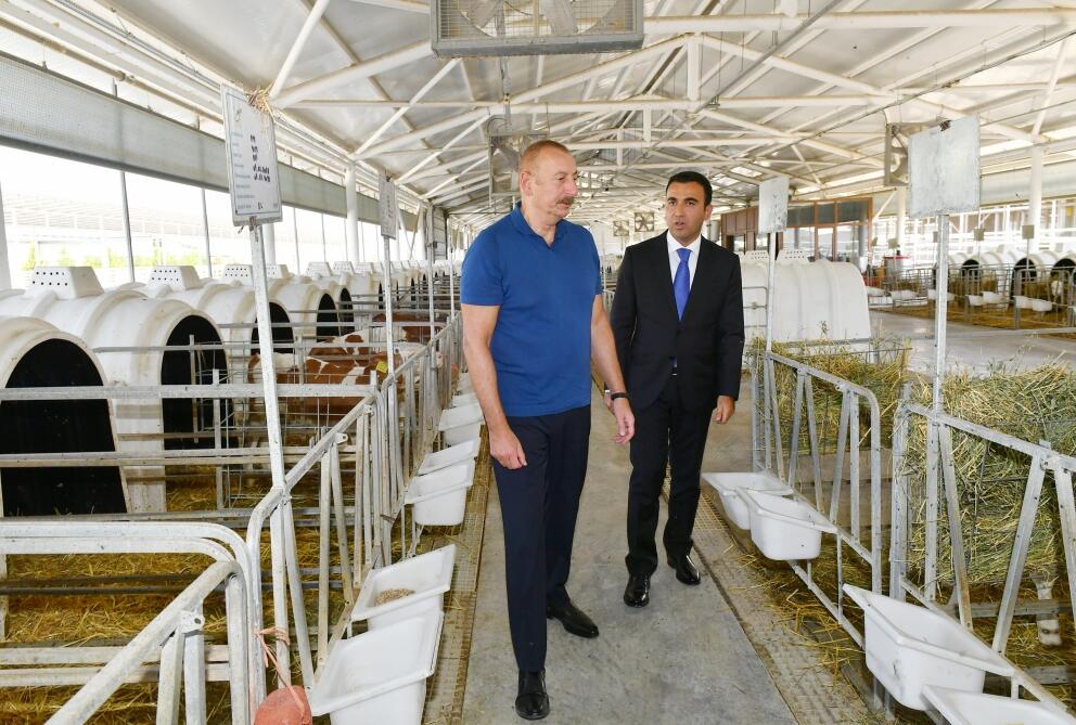 Президент Ильхам Алиев ознакомился с деятельностью Агсуинского агропарка