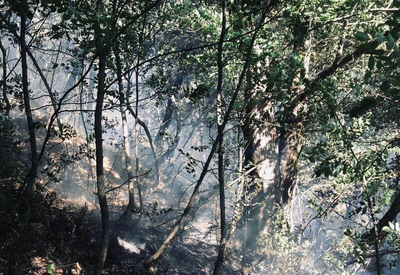 Пожар в Шахдагском национальном парке