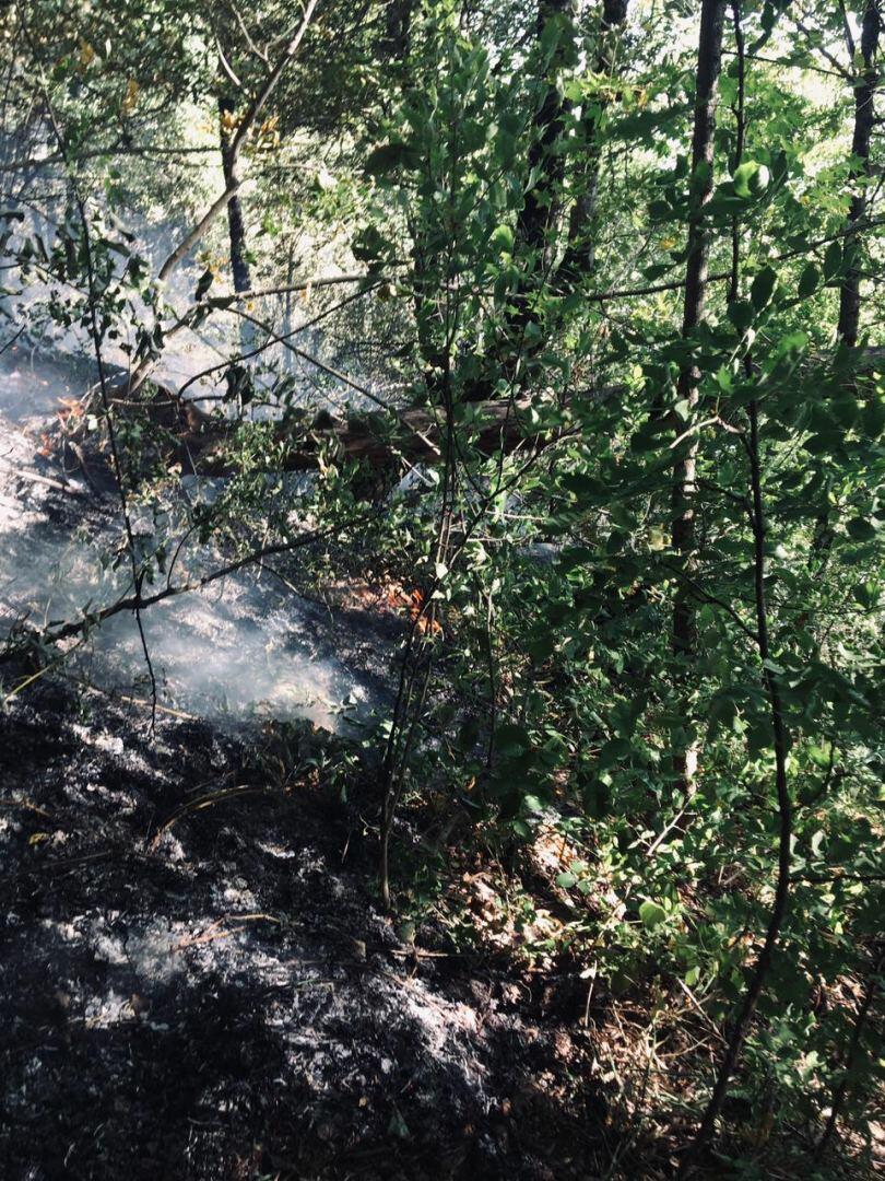 Пожар в Шахдагском национальном парке