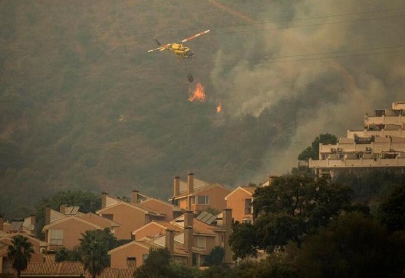В Испании лесные пожары уничтожили почти 250 тысяч гектаров угодий