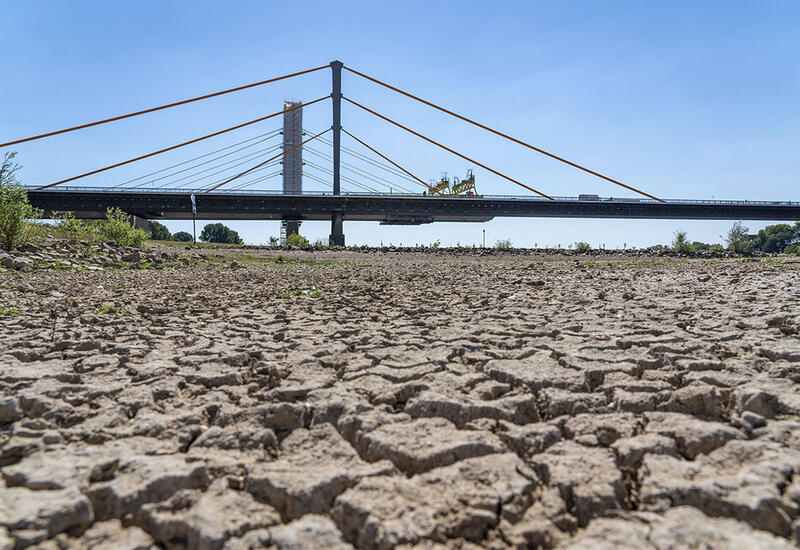 Экстремальная жара и засуха в Европе грозят катастрофой