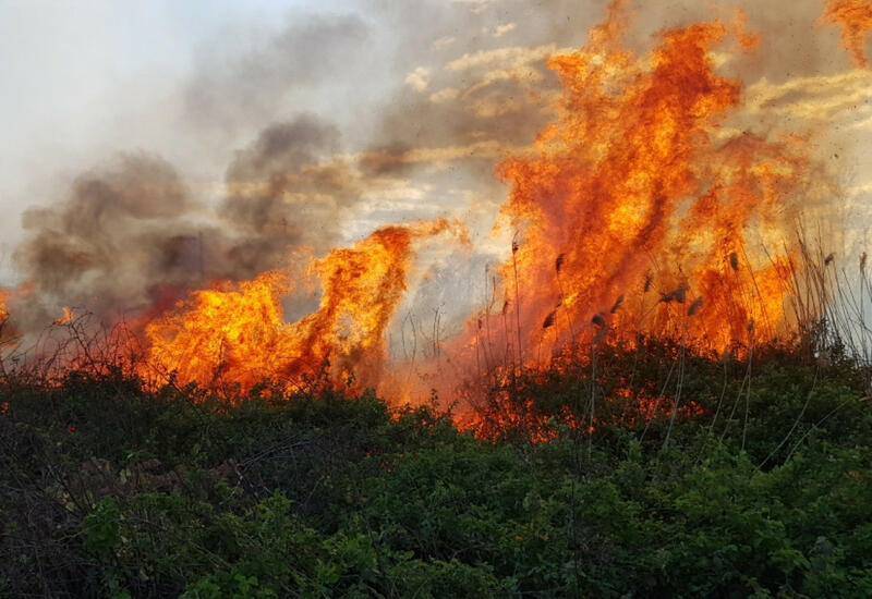 В Губе и Шабране горят леса
