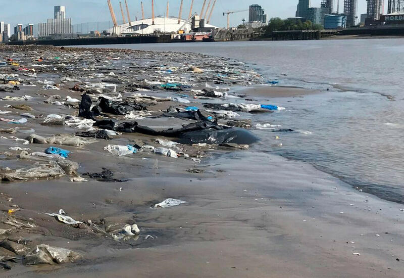 Спутники зафиксировали реки мусора в океане