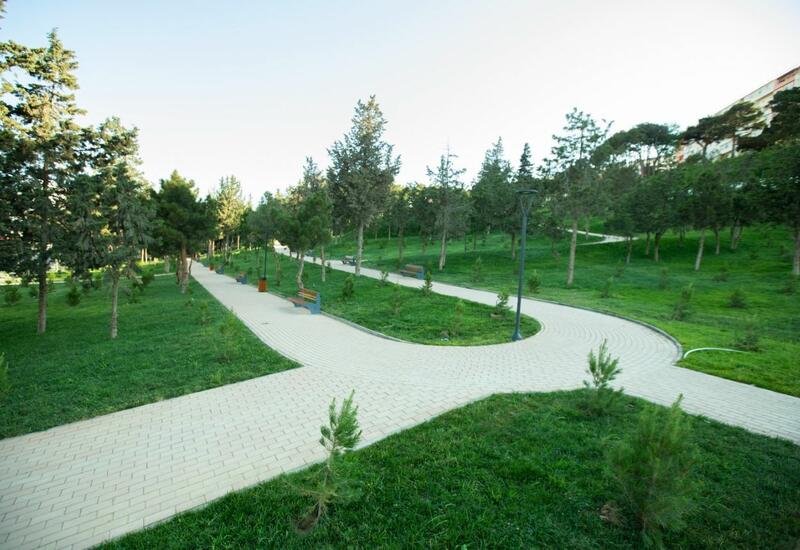 В центре Баку появится парк отдыха площадью 30 га