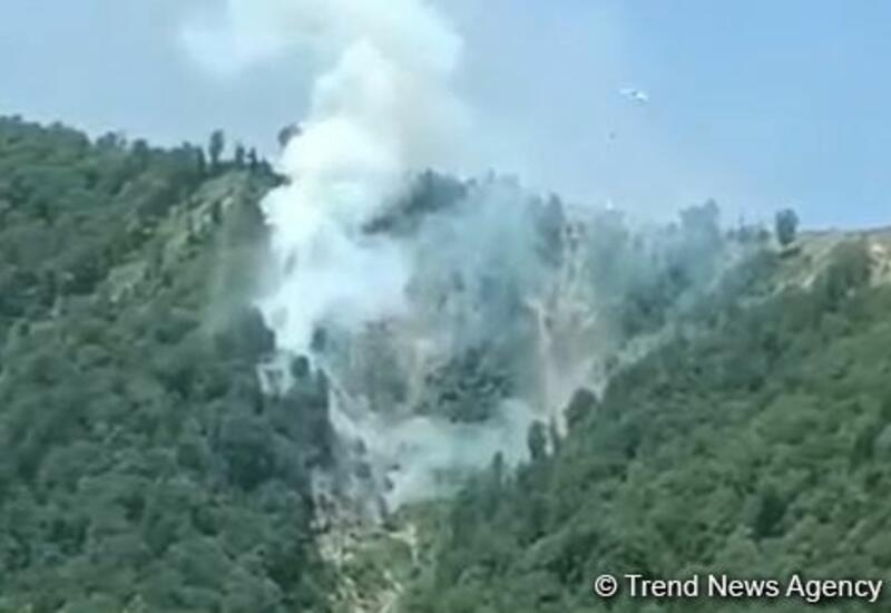 Продолжается пожар в лесах Габалы