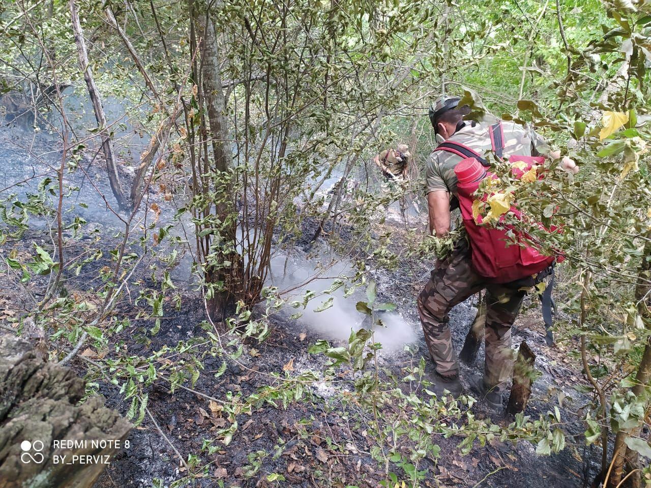 В Азербайджане продолжается тушение лесных пожаров