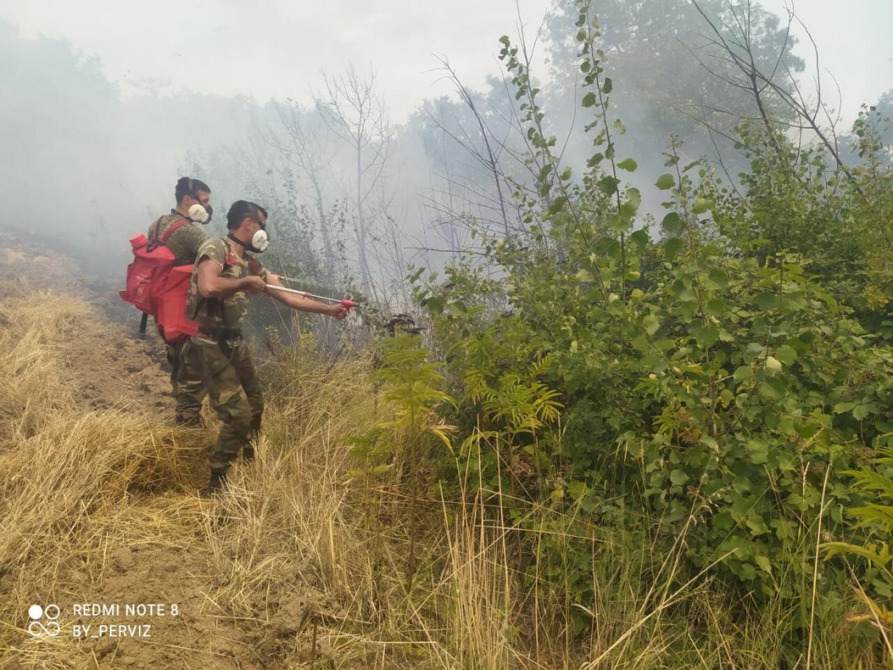 В Азербайджане продолжается тушение лесных пожаров