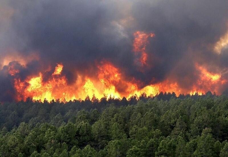 Сильные лесные пожары в Чили,