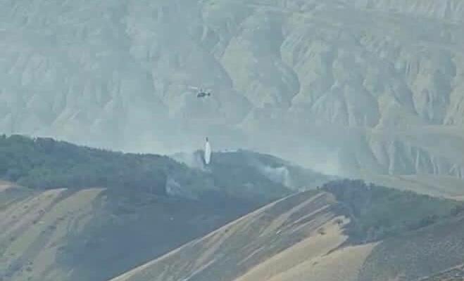 Пожары в Сиязанском и Шабранском районах полностью потушены