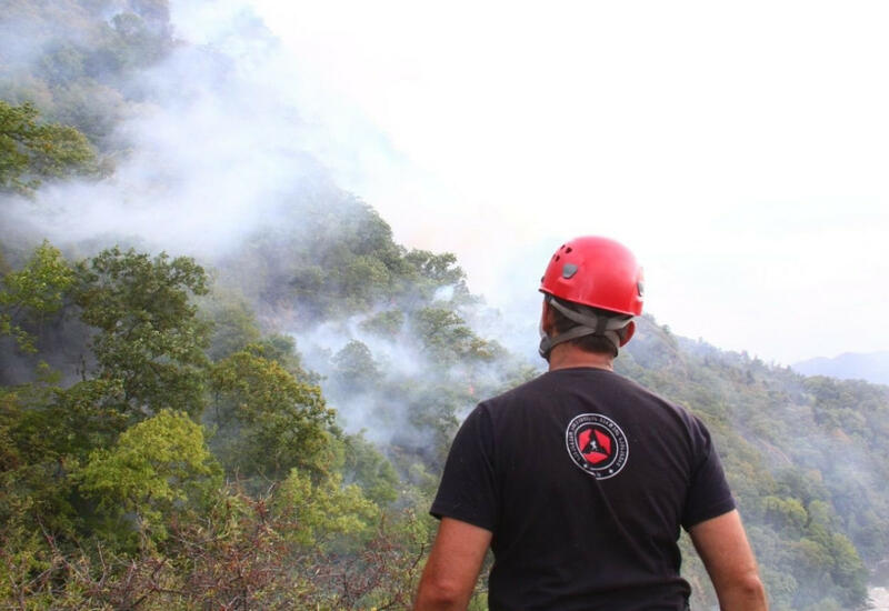 Масштаб лесного пожара в Боржоми расширился