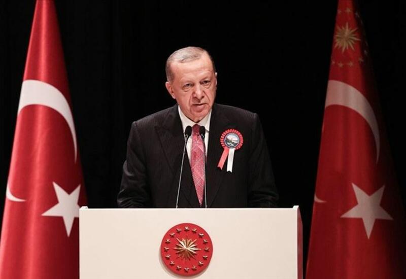 Турция завершит создание «зоны безопасности» у своих южных границ