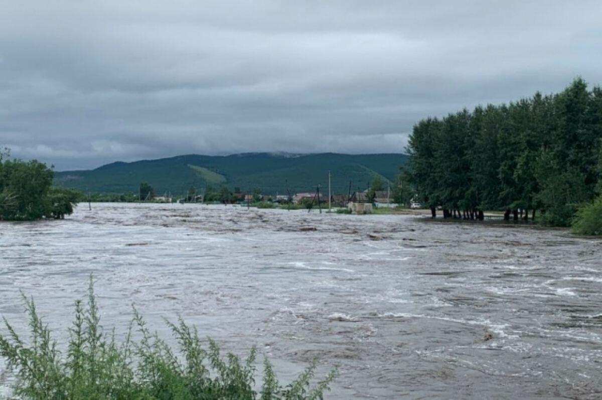 Выйти на пойму. Река Амазар Забайкальский край. Шилка Кокуй. Река Кручина Забайкальский край. Река Каренга.