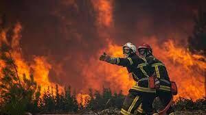 Во Франции усилились лесные пожары