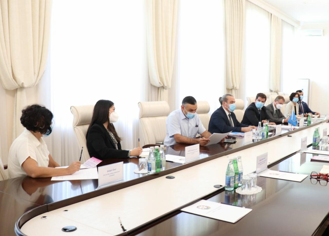 Теймур Мусаев провел встречу с делегацией ВОЗ
