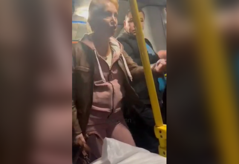 В Нижнем Новгороде женщина избила водителя автобуса