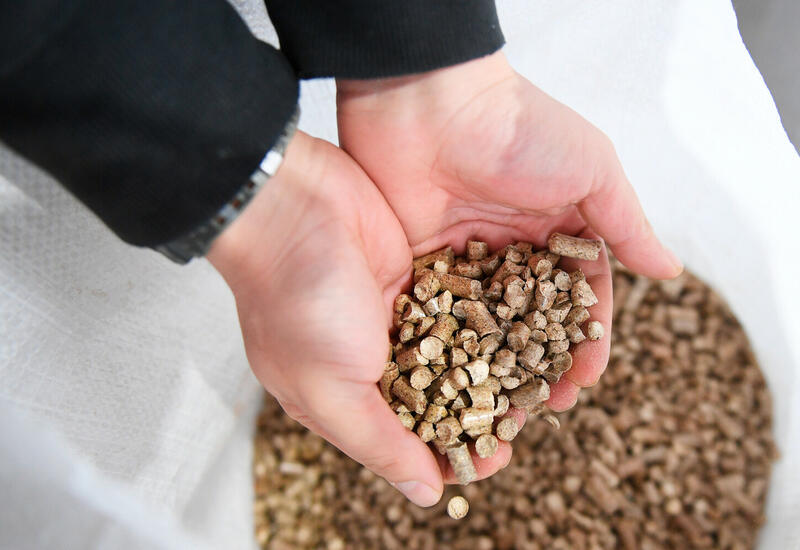 В Европе резко вырос спрос на пеллеты, печи и котлы, работающие на биомассе