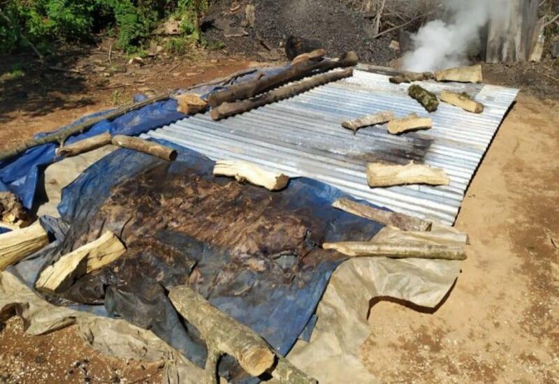 В Исмаиллы пресечено незаконное производство древесного уголя
