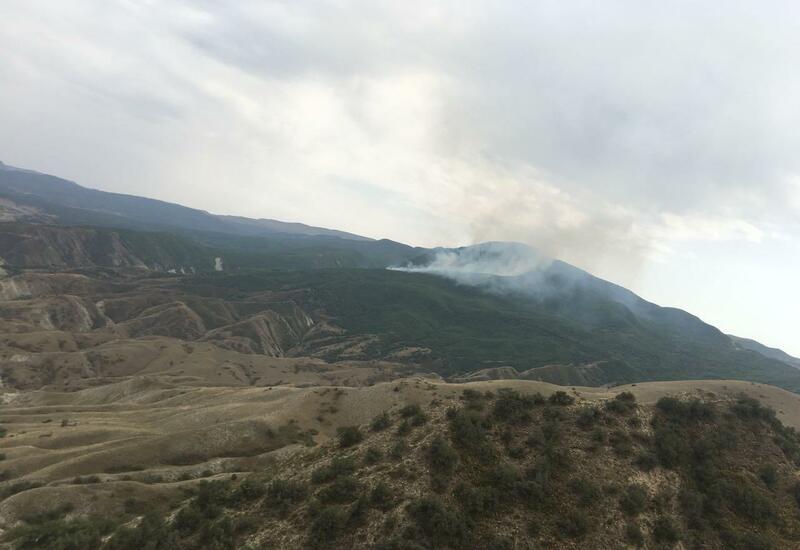 Пожар в Алтыагаджском национальном парке