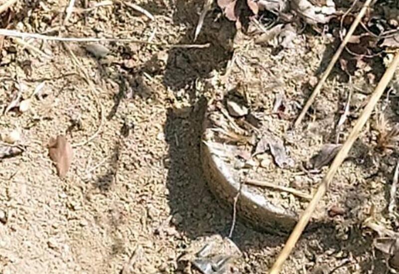 Обнаружены мины-ловушки, установленные армянами в Ходжалинском районе