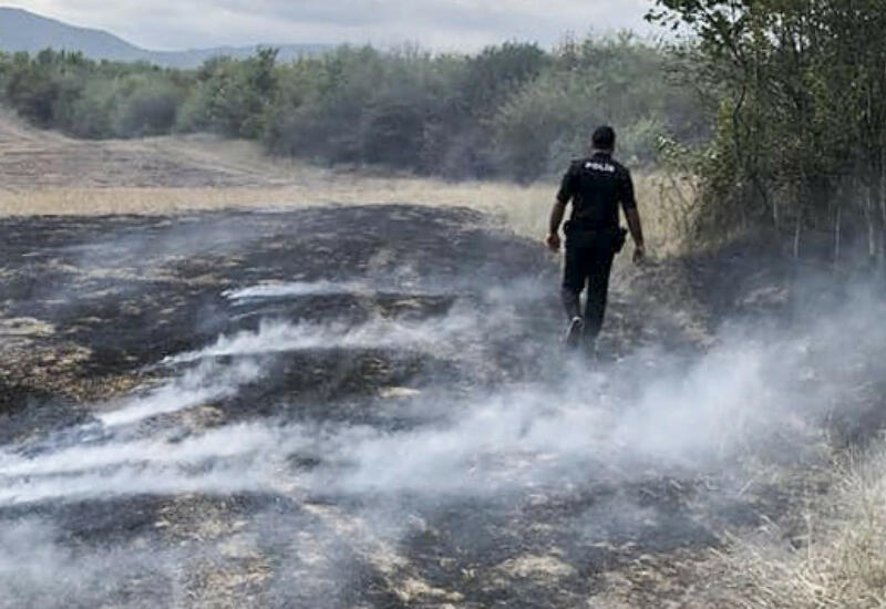 Пожар на открытой местности в Бузовне