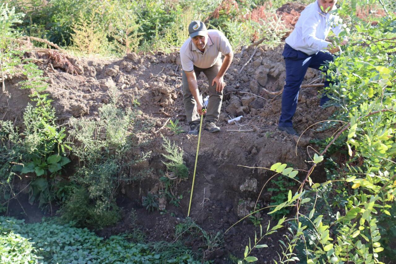 Образцы почвы создаваемого в Физули паркового комплекса будут исследованы в турецкой лаборатории