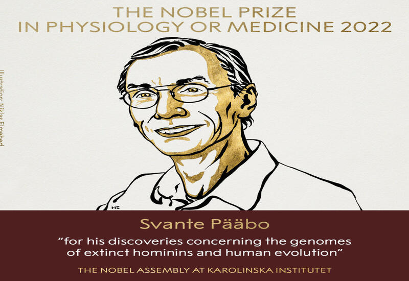 Объявлен победитель Нобелевской премии по физиологии и медицине
