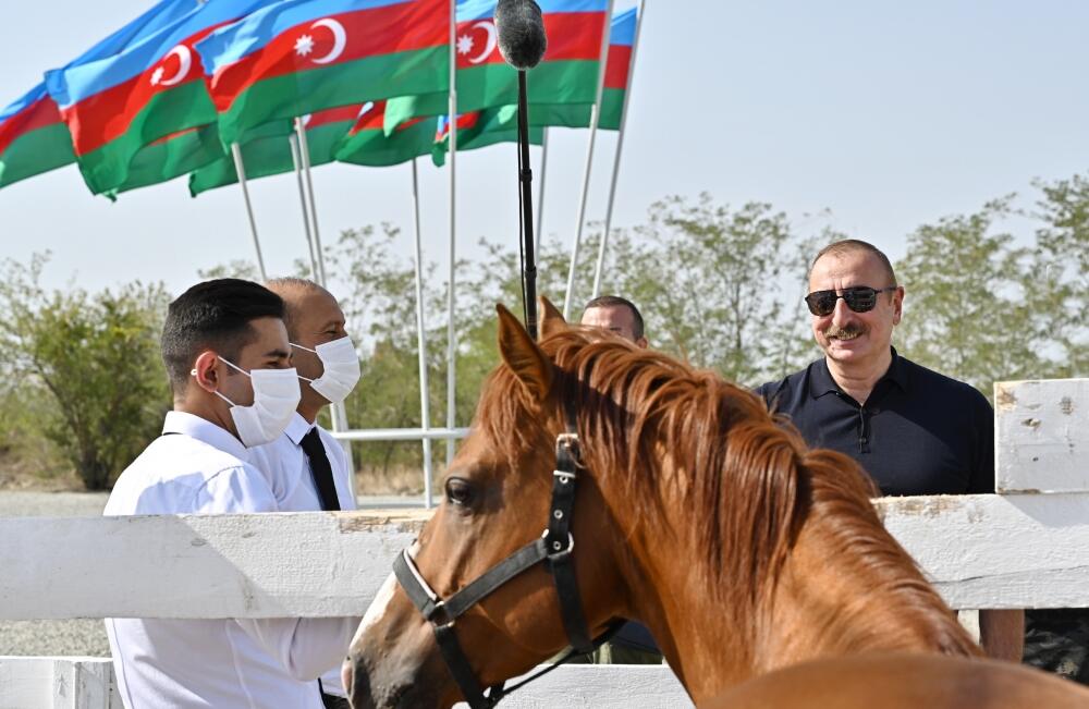 Президент Ильхам Алиев и Первая леди Мехрибан Алиева приняли участие в церемонии закладки фундамента Центра племенного коневодства в Агдаме