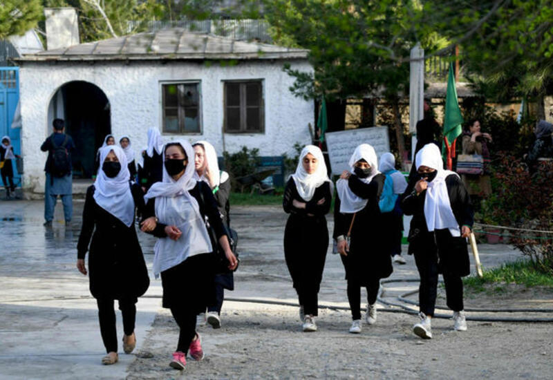 "Талибан" вводит ограничения для девушек по выбору специальности