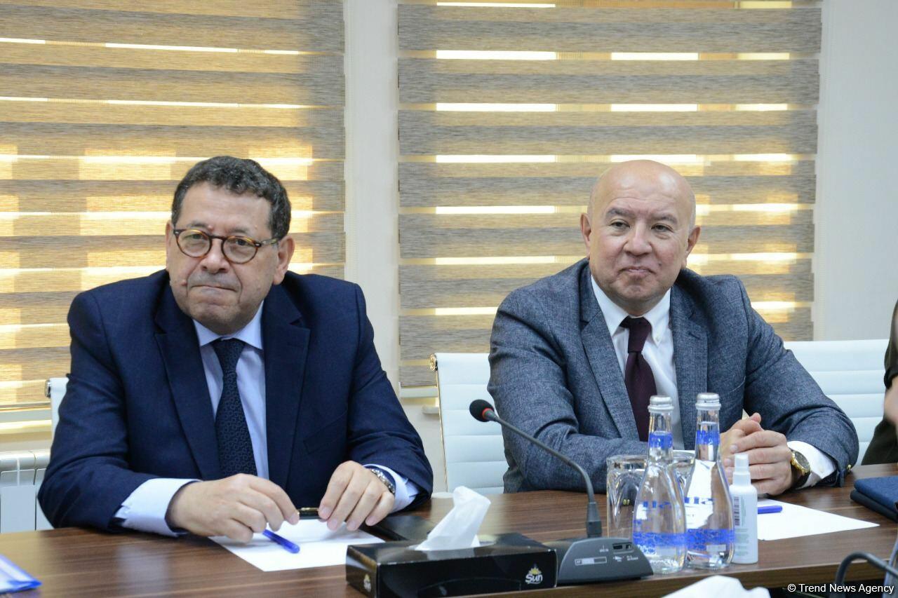 Состоялась встреча между руководством Агентства развития медиа Азербайджана и DHA