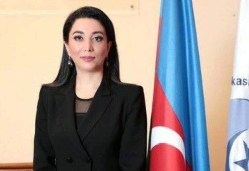 В Азербайджане омбудсмену предоставляется право вести видеосъемку при рассмотрении жалоб